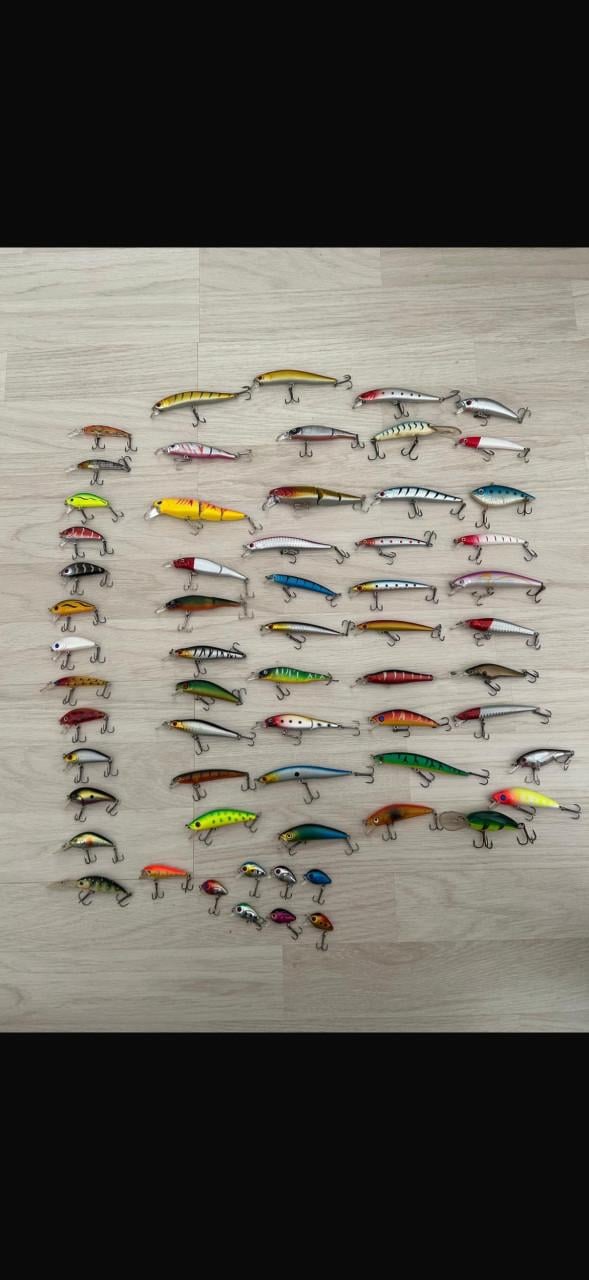 62 stuks kunstaas (hardbaits) - Ideaal voor roofvissen