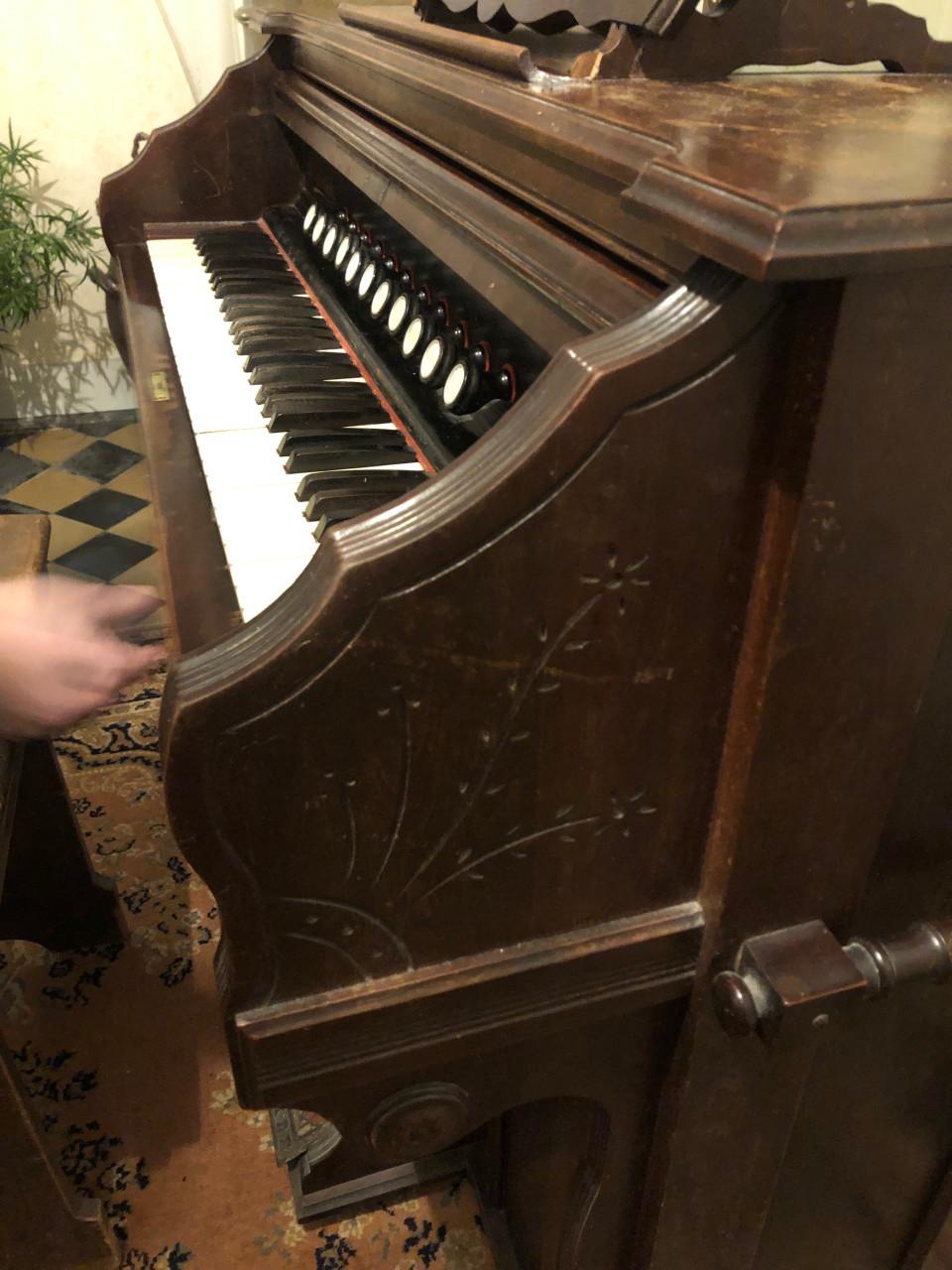 Harmonium “The Lakeside Chicago”