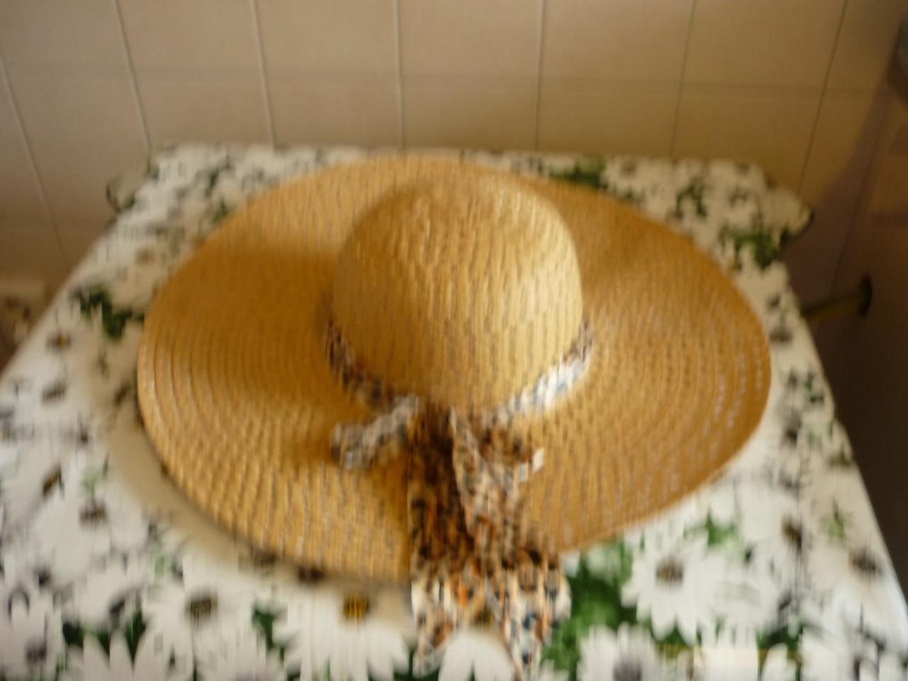 ZONNEHOEDEN