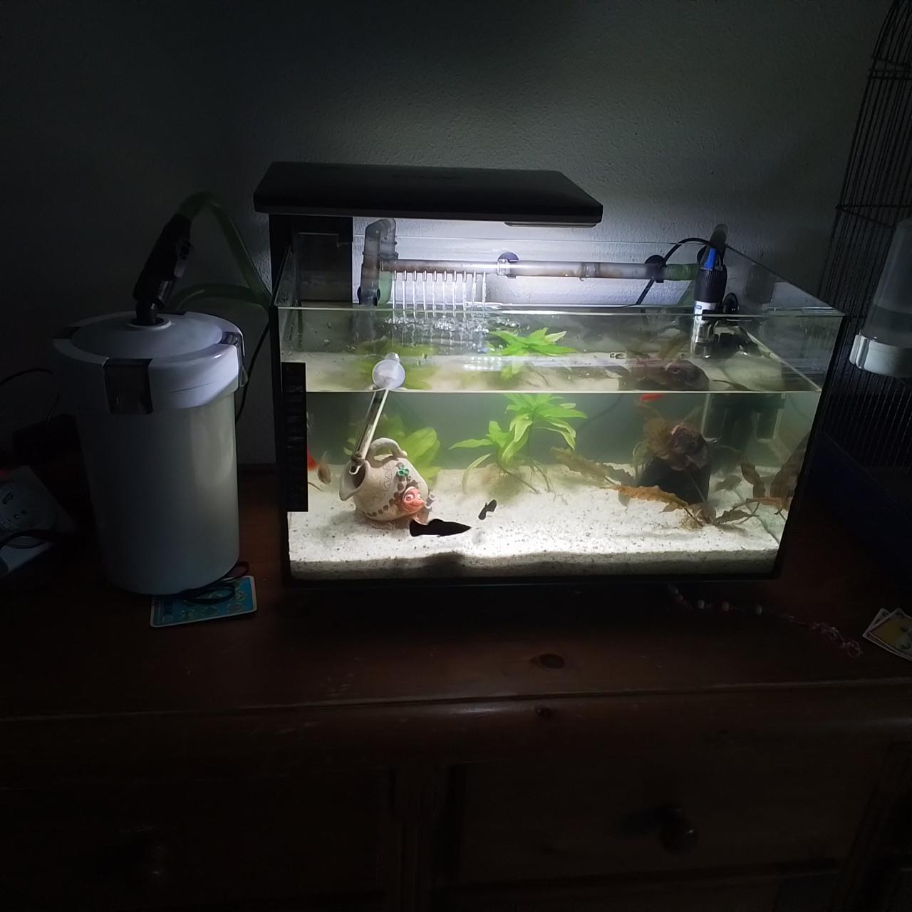 Superfish aquarium met buiten filter