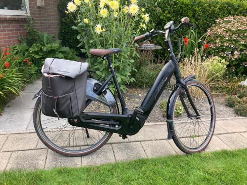 Gazelle Grenoble C8 HMB l53 Black H8 (mat)