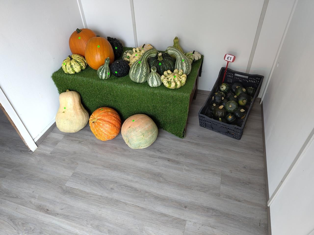 Pompoenen en kalebassen