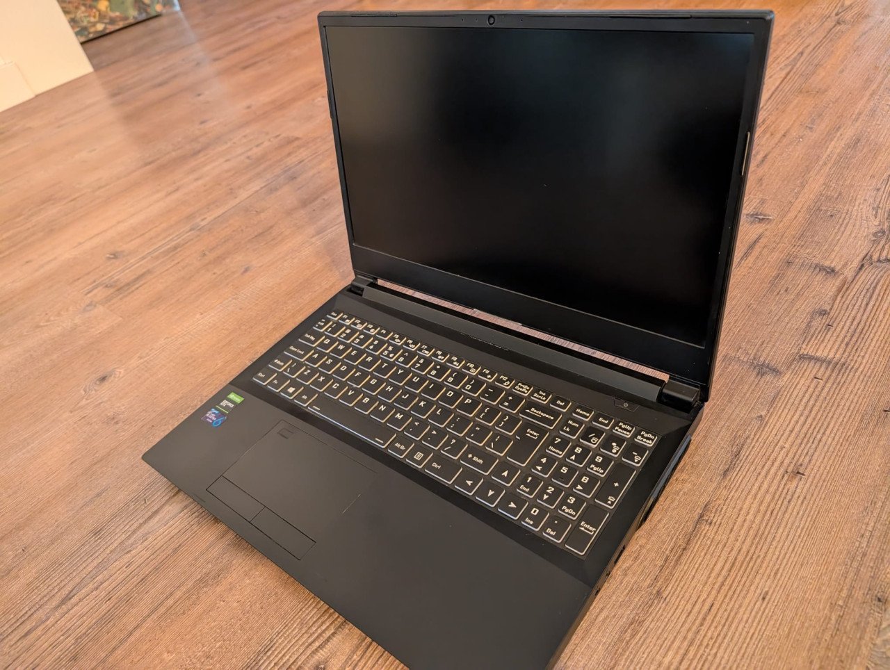 Custom AMD Gaming laptop