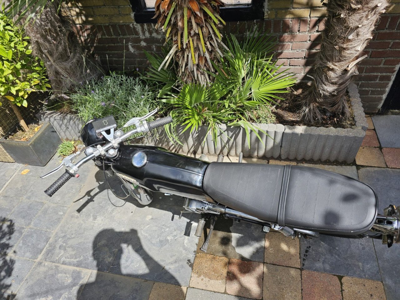 Honda  ss50