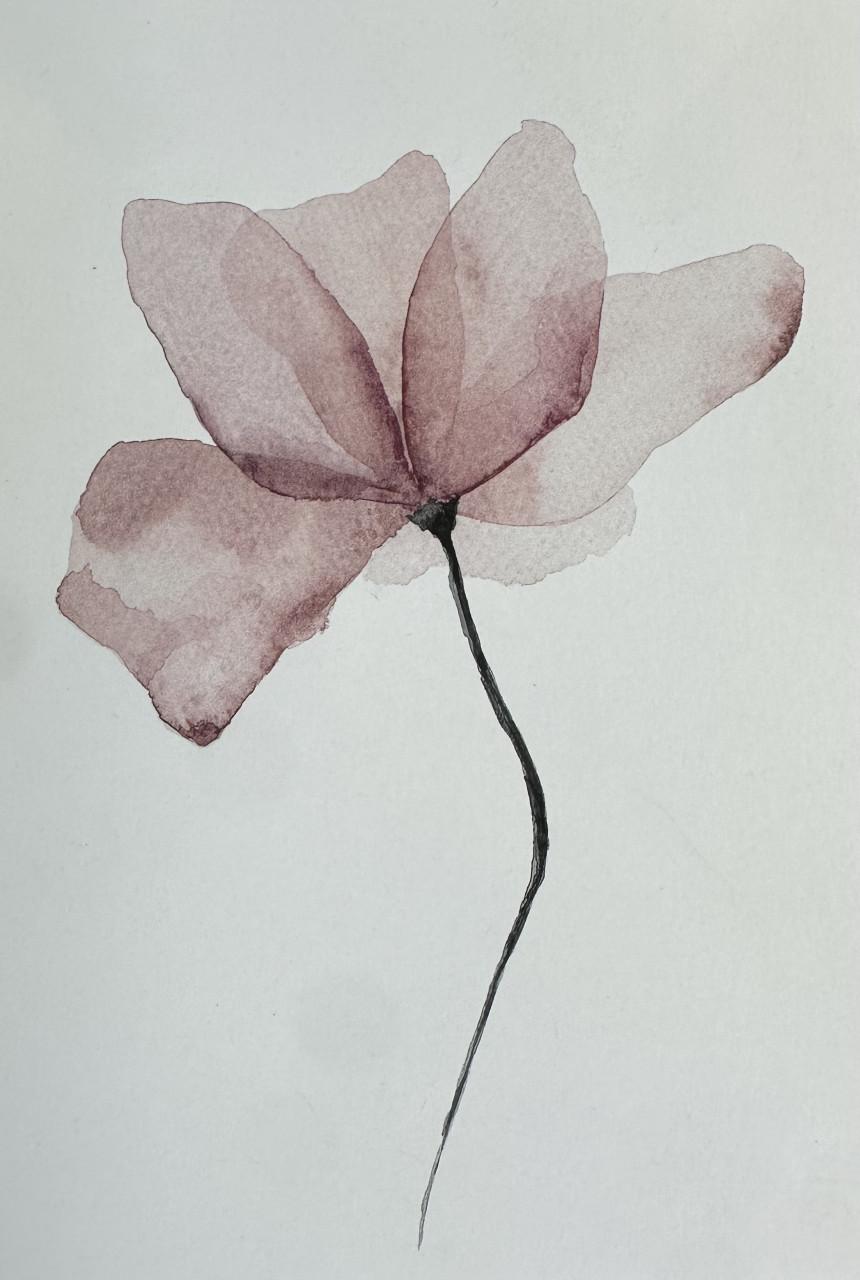 Vijf posters (wereldkaart, flamingo, bloem en quotes)