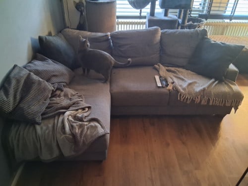 Gratis af te halen Bankstel plus stoel
