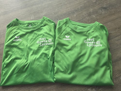 Gym shirt Goeselyceum / praktiq