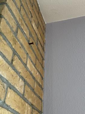 Gevraagd: hangpot om aan de muur te hangen