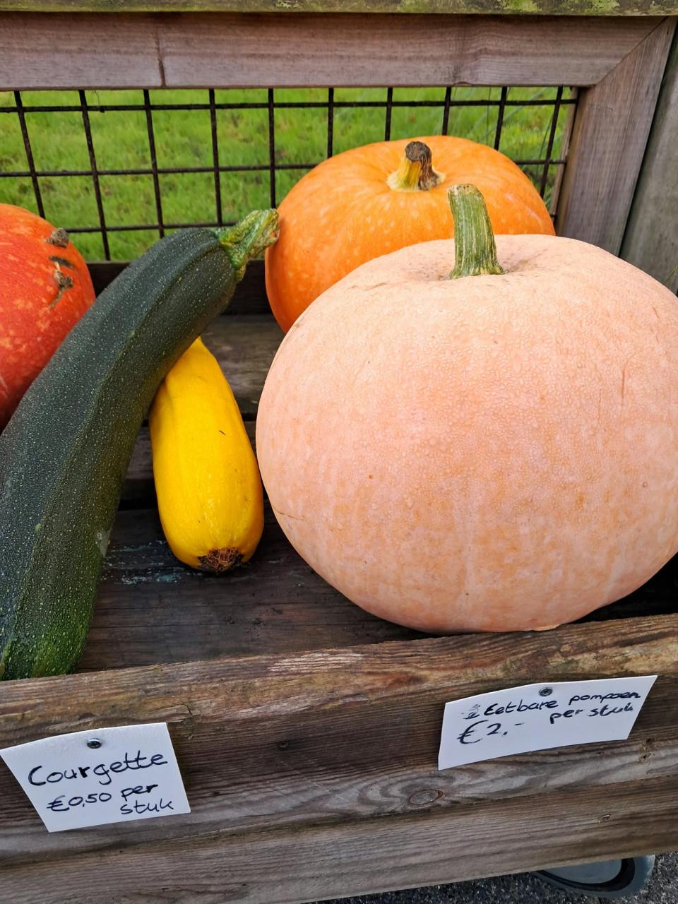 Kalebassen, pompoenen, courgettes en oleanders