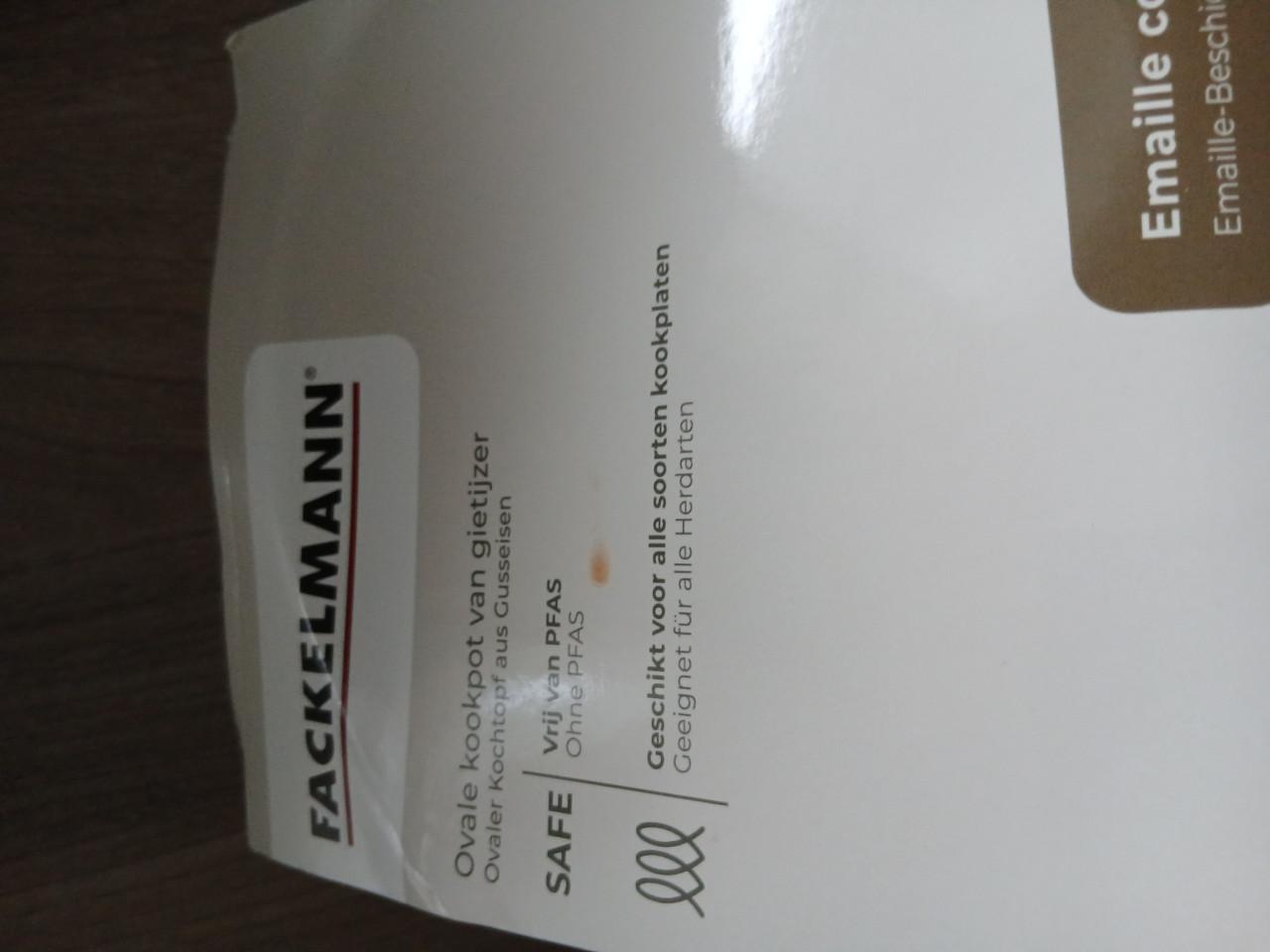 Braadpan giet ijzer ovaal