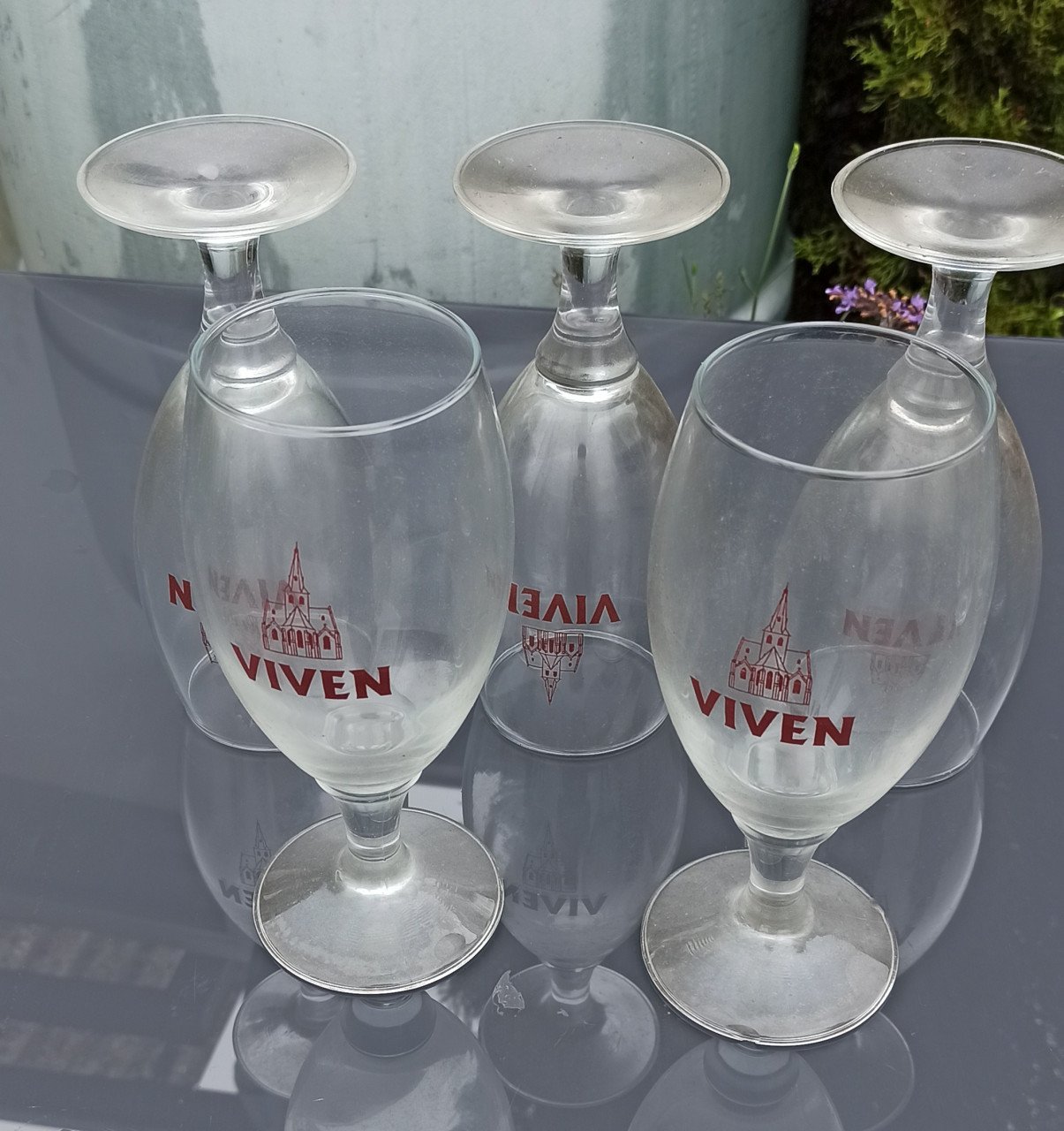5 Viven bierglazen - gratis