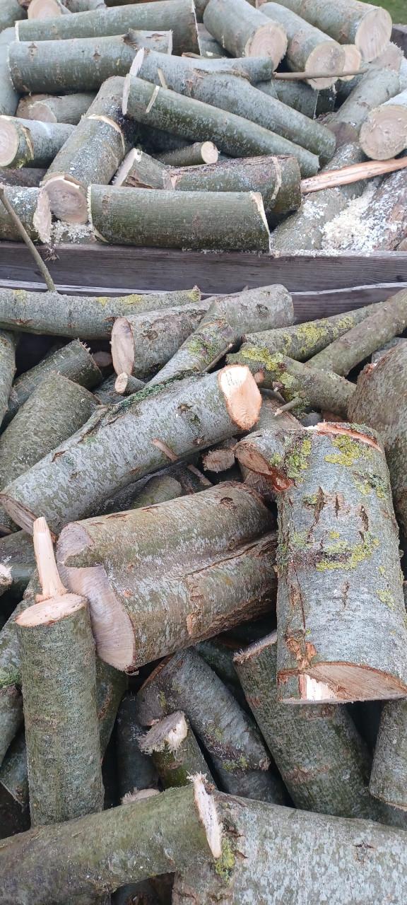 HAARDHOUT perenhout of wilgenhout, gekliefd/ongekliefd