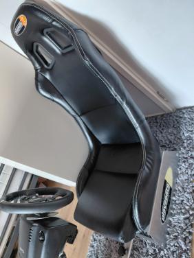 Playseat Evolution + Logitech G920 Racestuur (Xbox/PC