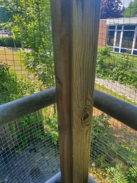 Hout