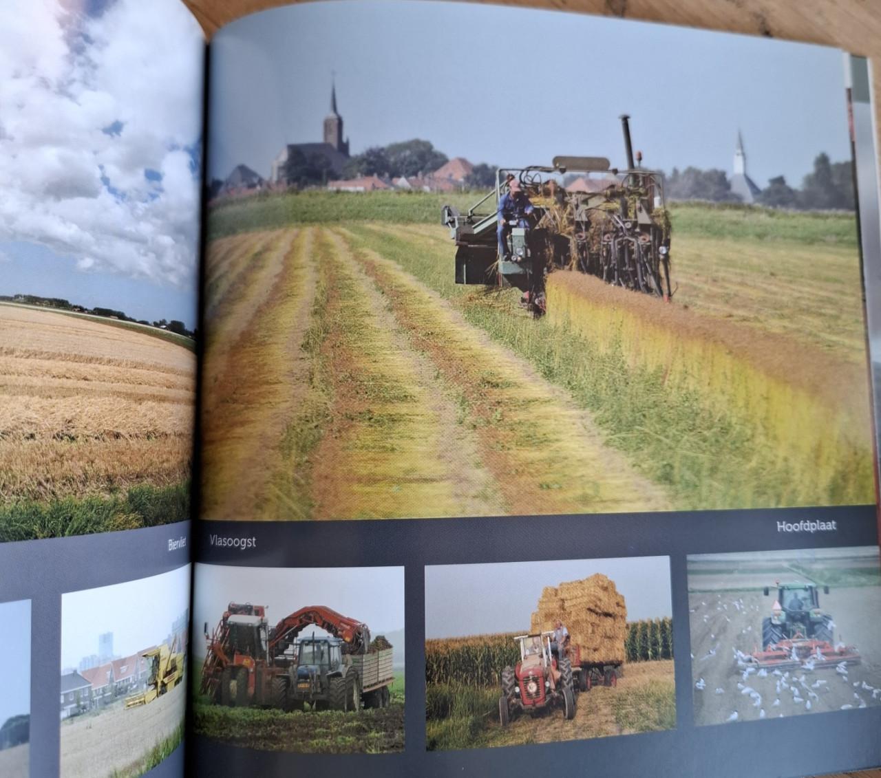 Zeeuws venster - Een mooie herinnering, door Chris Platteeuw.