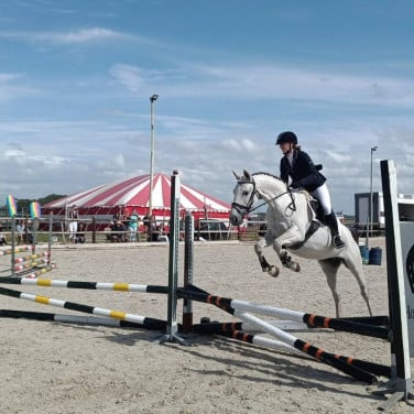 Paard te huur