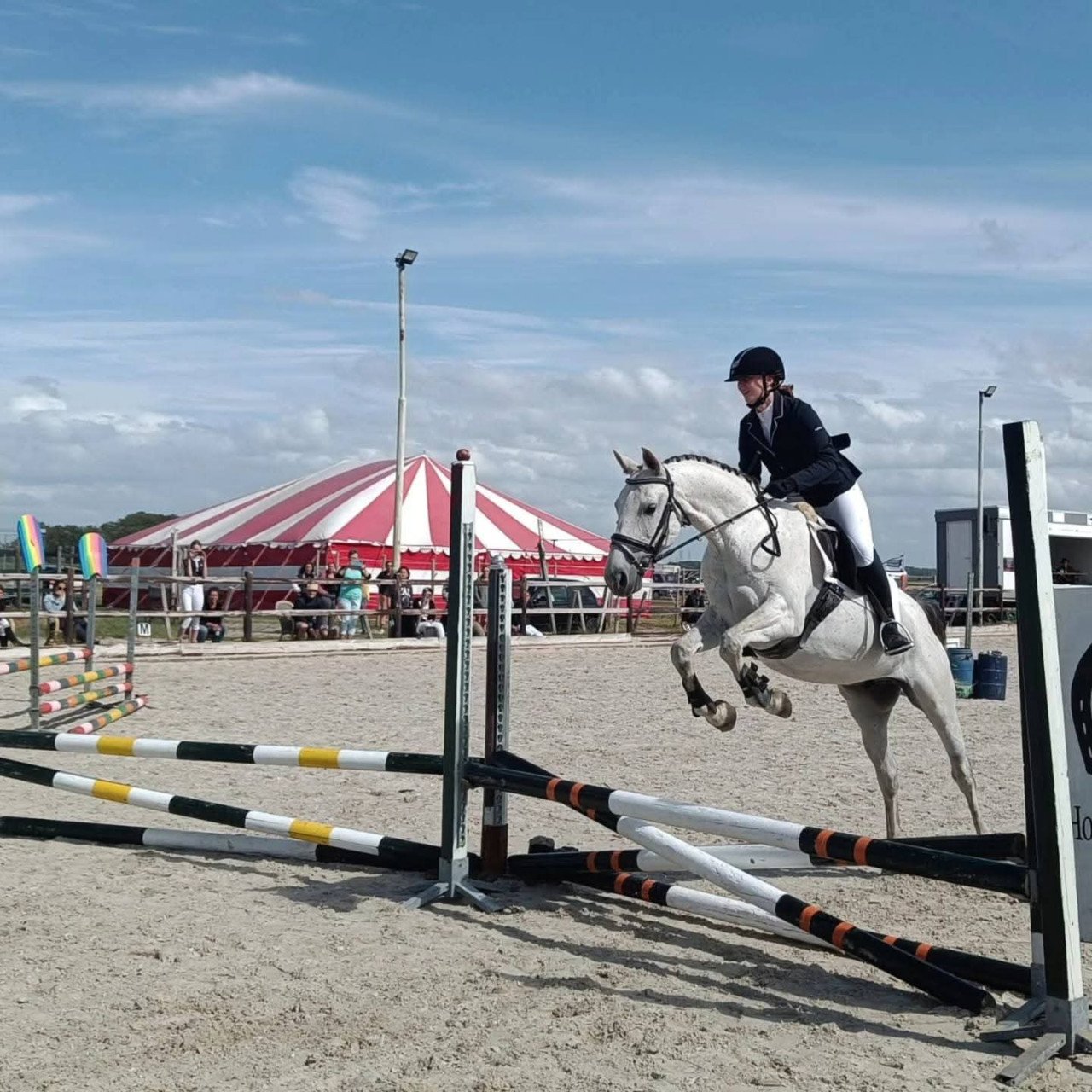 Paard te huur