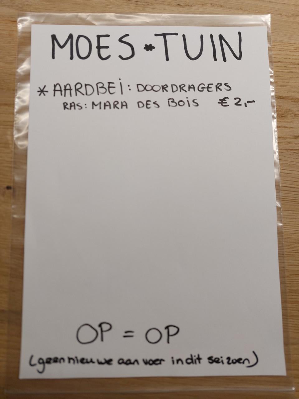 EEN NIEUW SEIZOEN: SIERTUIN en MOESTUIN PLANTEN  BIJ DE VOORDEUR