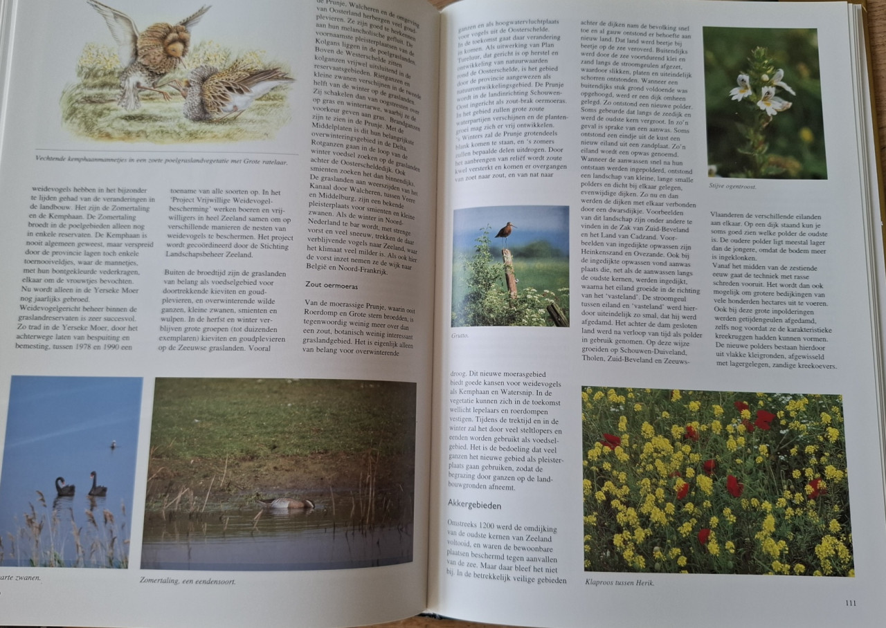 Natuur in Zeeland,  tussen zee en zoom, door Winant Halfwerk