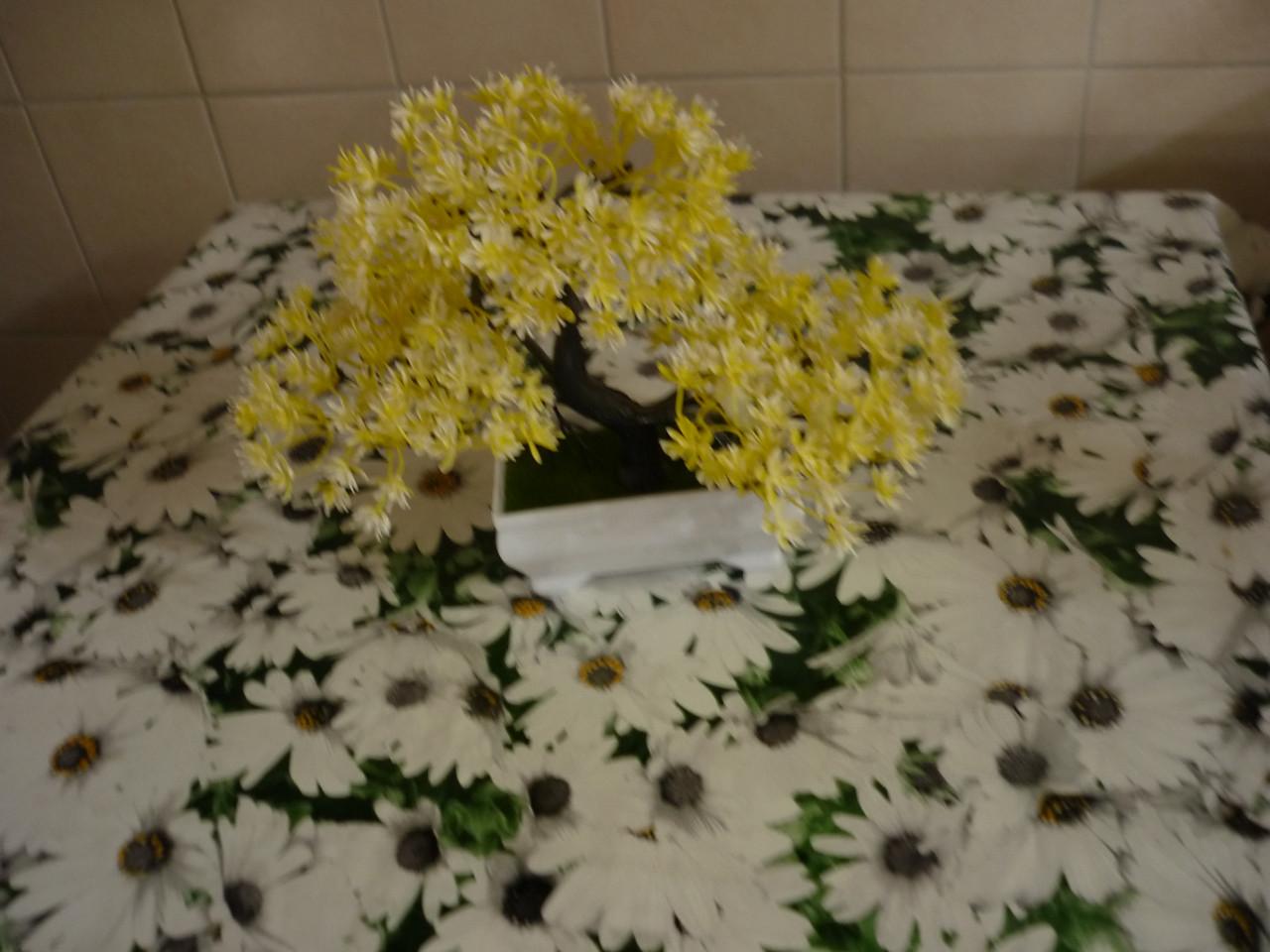KUNST BONSAI BOOMPJES