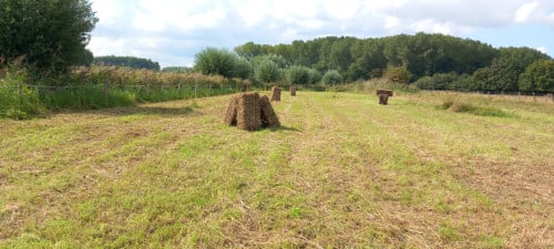 Hooibaaltjes