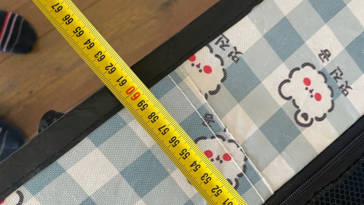 Reisbench voor poes, kittens of kleine hond