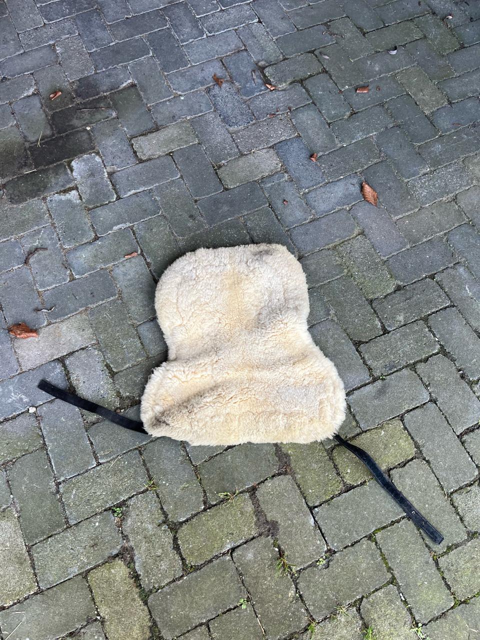 Zadelbontje maat full