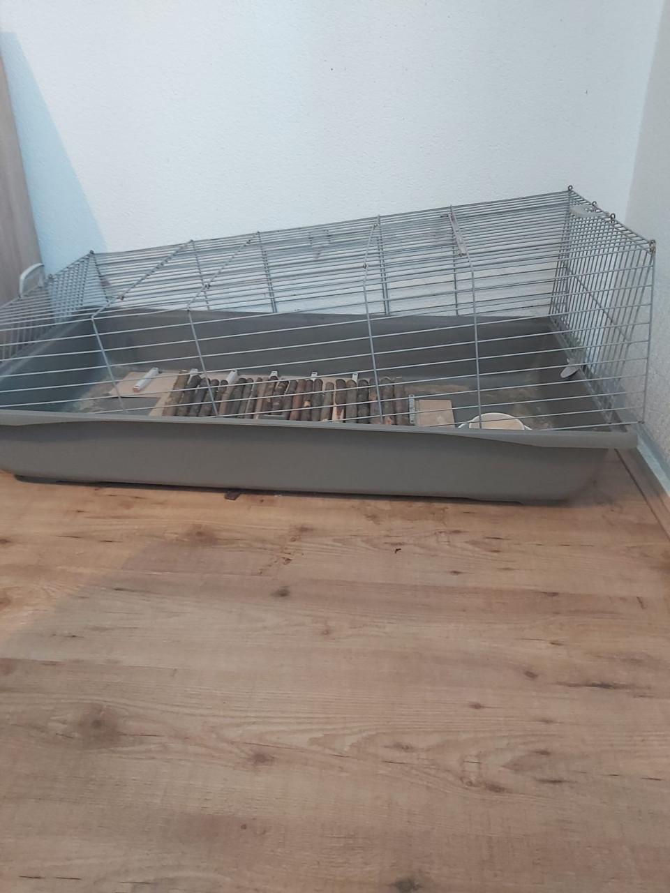 Cavia/Konijnenkooi