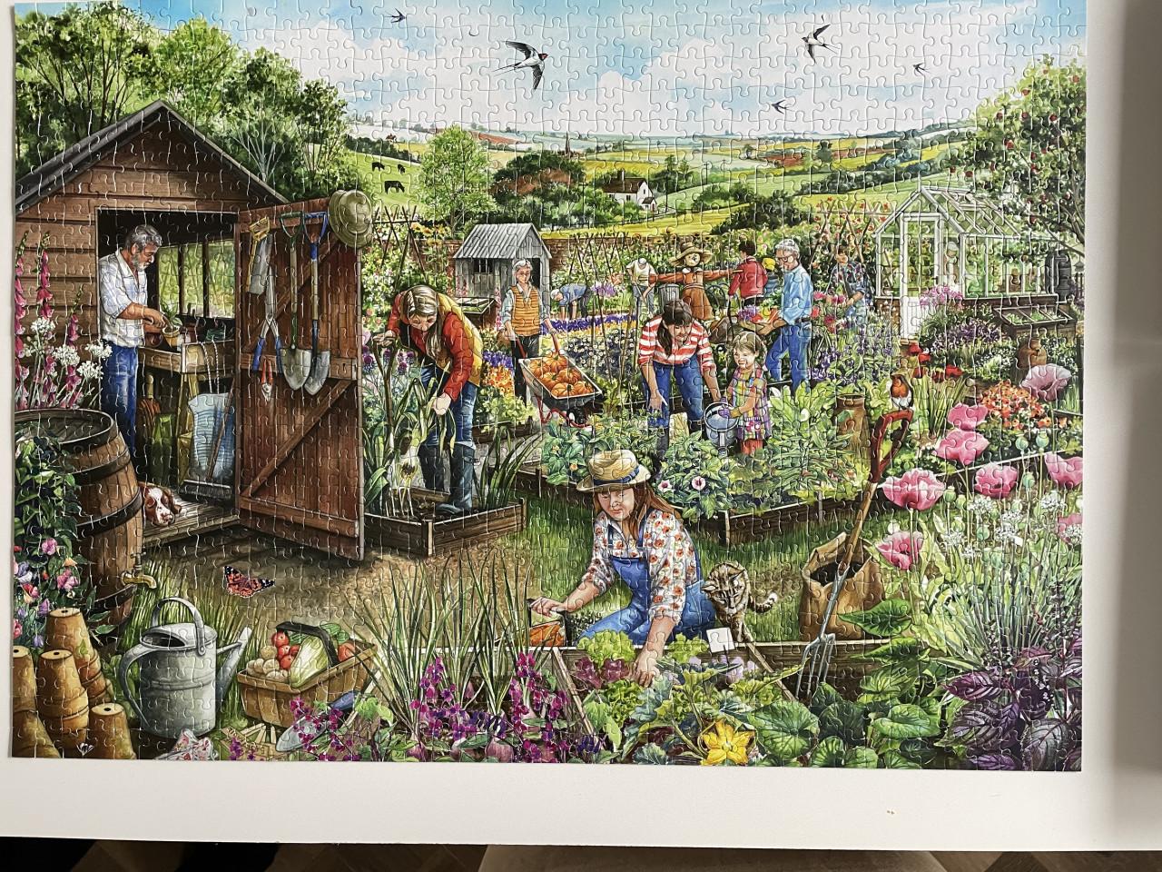 Puzzel Falcon: Down at the allotment