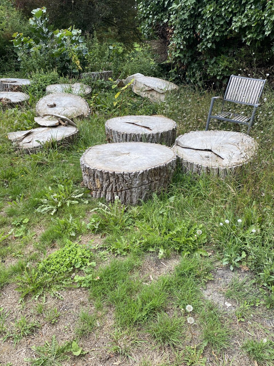 Haard hout