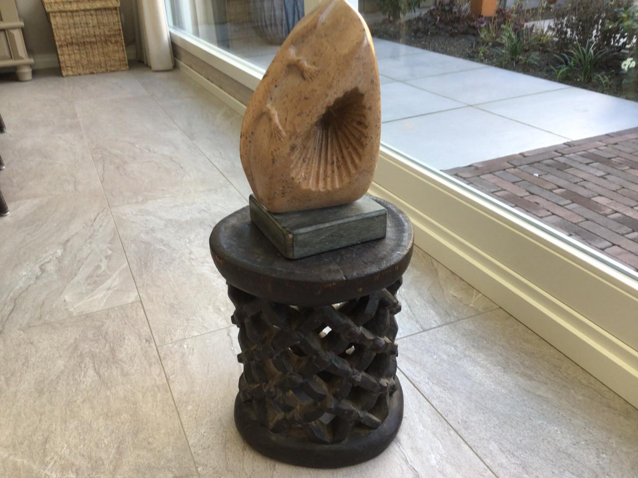 Sculptuur van Hagedis