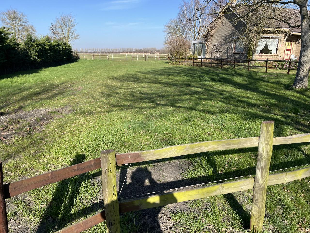 Te huur paard of pony weidje