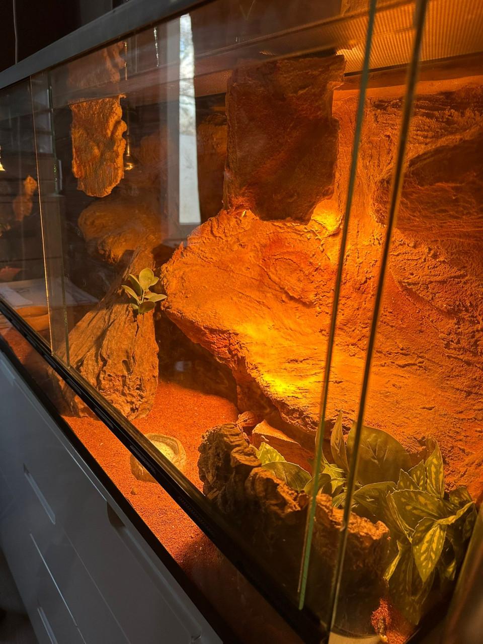 Prachtig terrarium 120x40x50