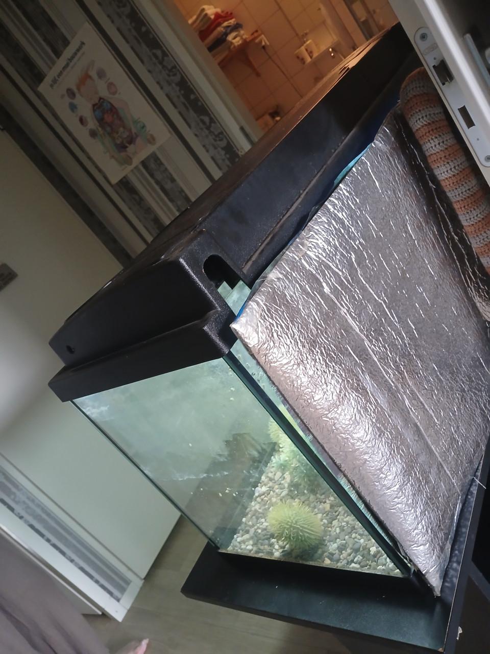 Aquarium met gratis accessoires