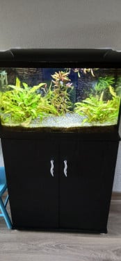 Aquarium