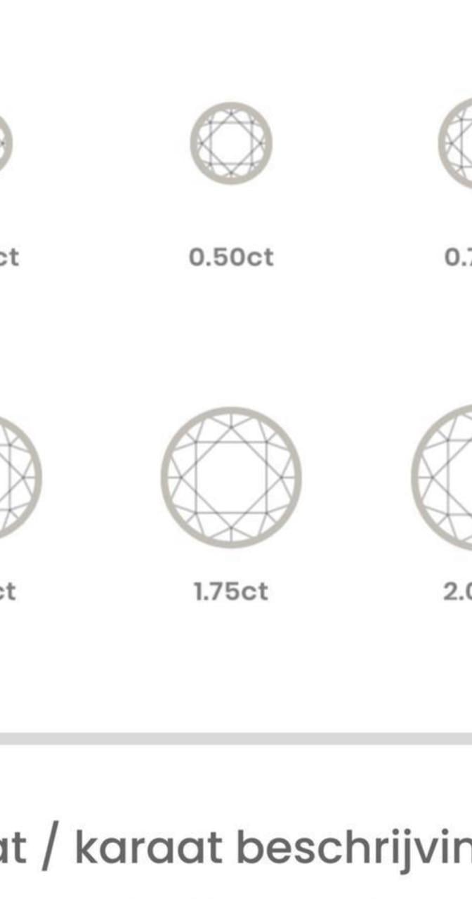 18 karaat wit gouden oorbellen met diamant