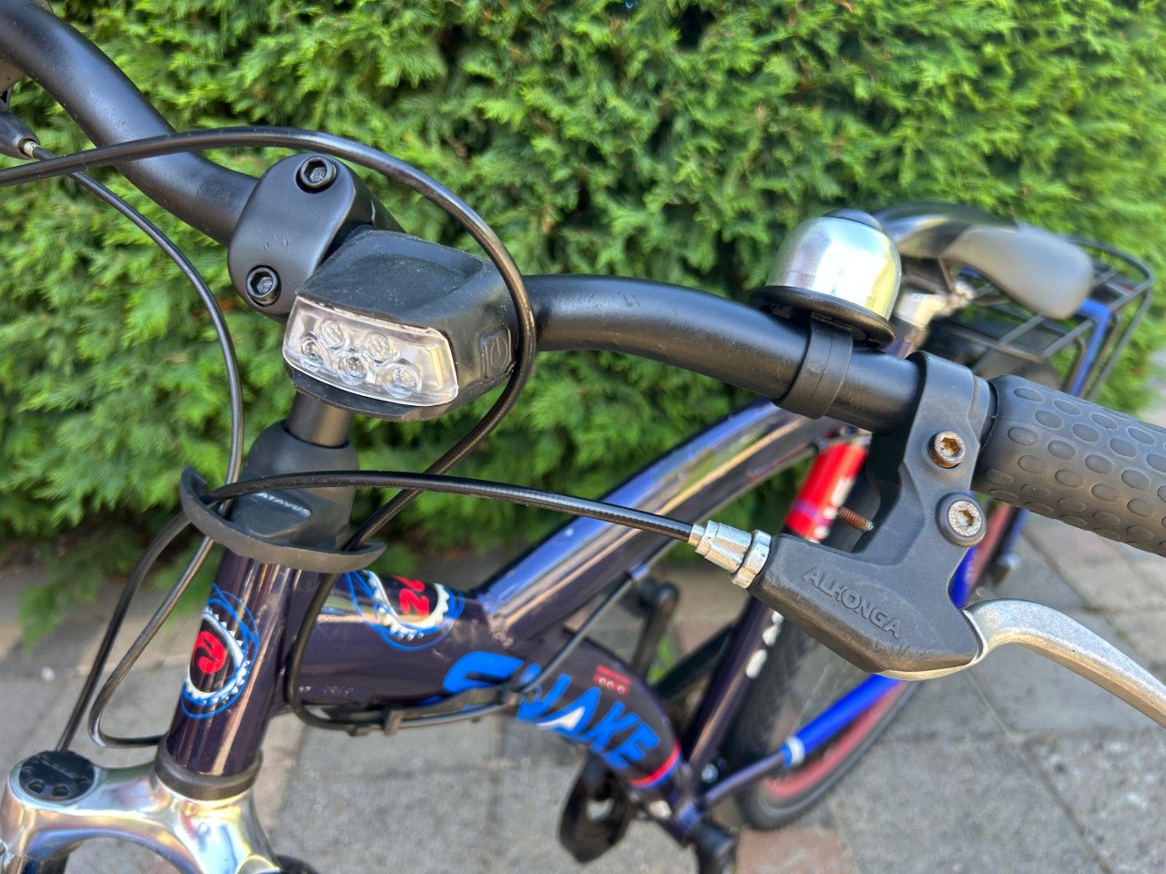 Batavus snake 26inch