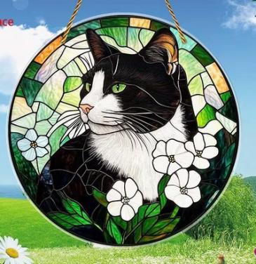 Raamhanger kat - poes