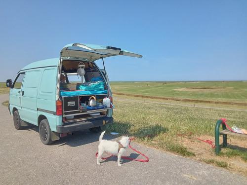 Camperbus minicamper Piaggio Porter Daihatsu hijet