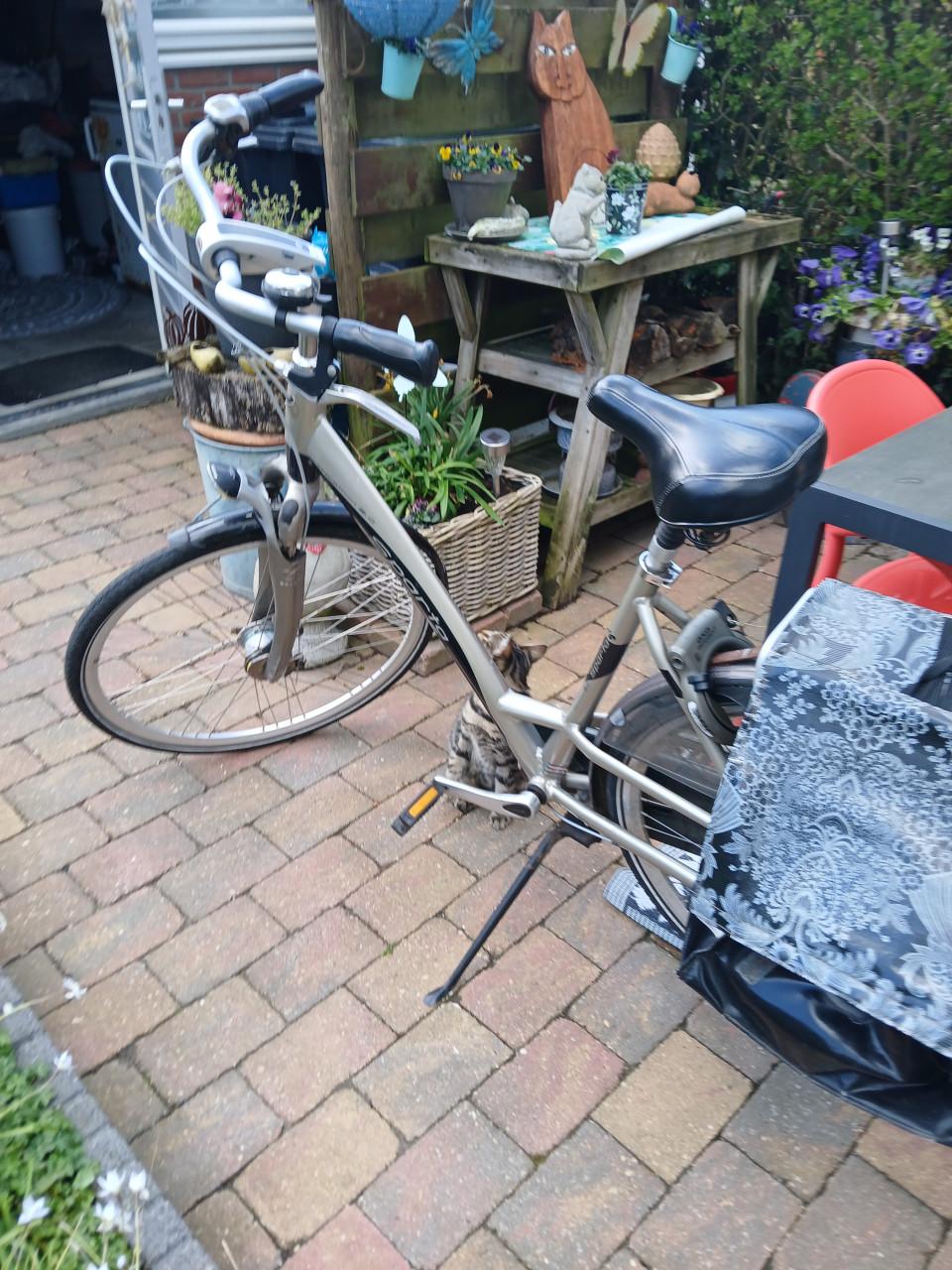 Damesfiets