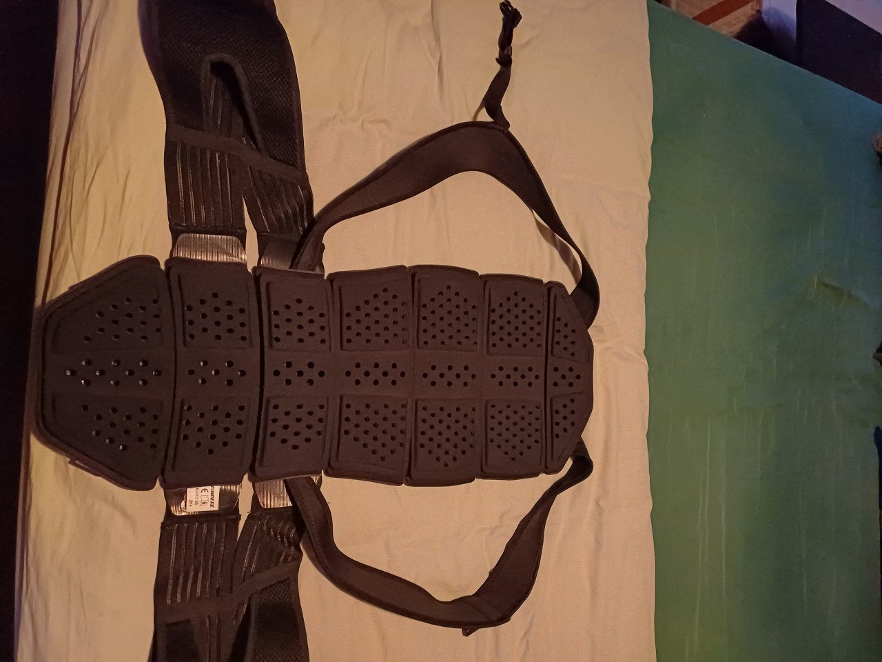 Dainese Manus D1 rugprotector