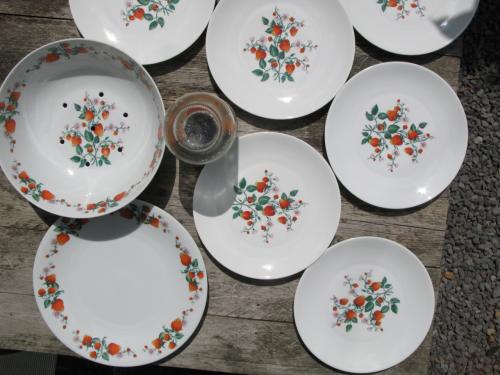 Fruit servies