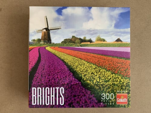 Puzzel 300 stukjes