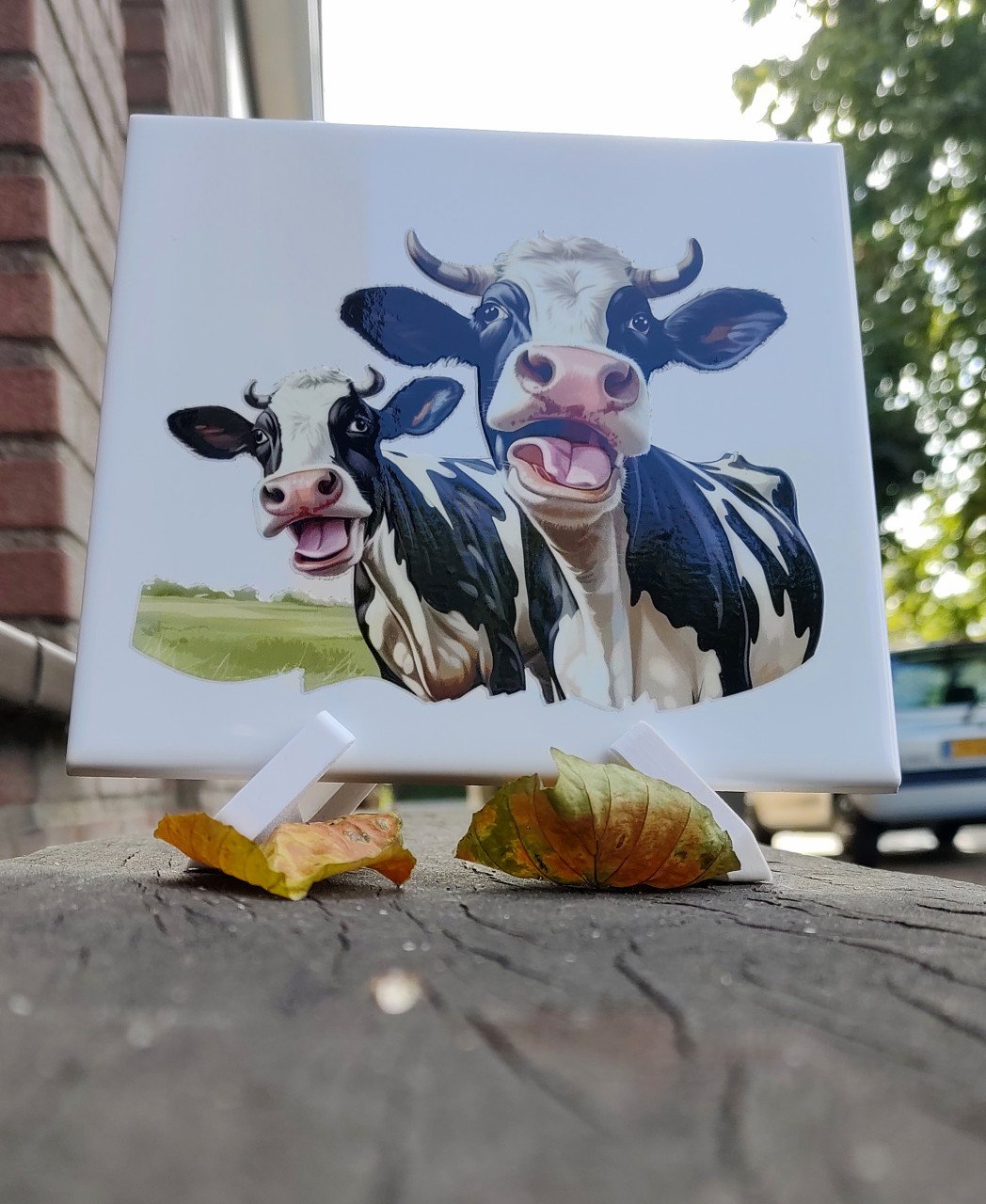 Leuke Koe tegeltjes