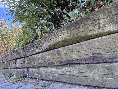 Gratis hardhouten bielzen