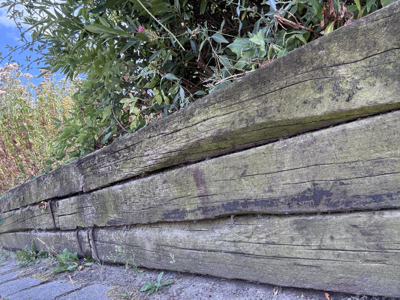 Gratis hardhouten bielzen