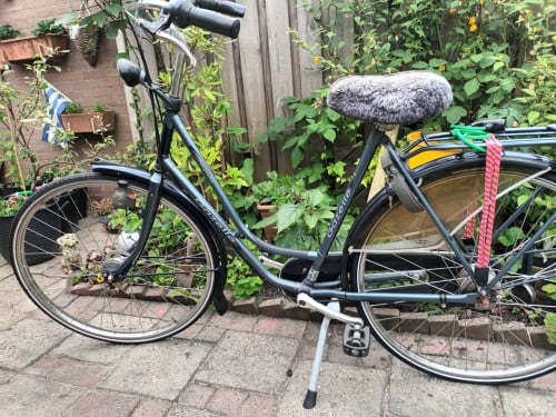 DAMESFIETS