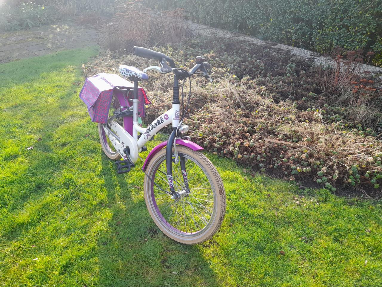 Z.g.a.n. Loekie meisjesfiets met bijpassende fietstassen (20 inch)