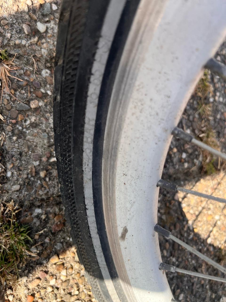 Alpina Yabber 20 inch