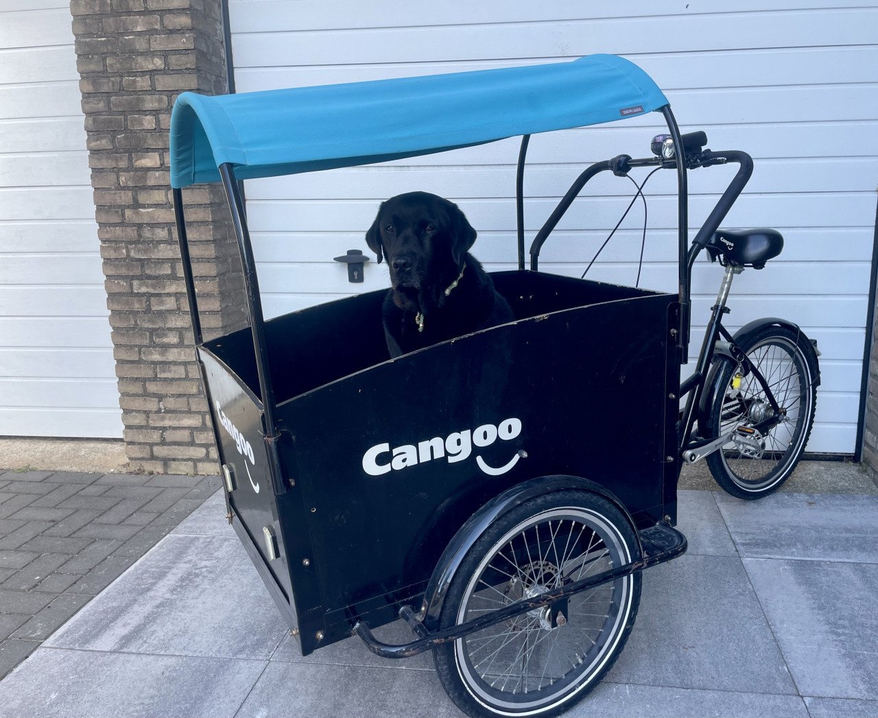 Cangoo bakfiets